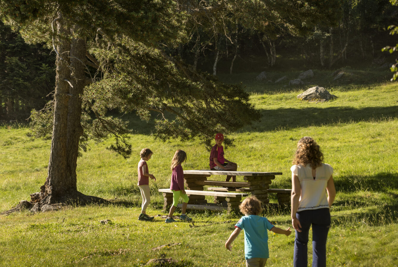 Una dona i un grup d'infants al voltant d'una taula de picnic al Parc Natural de l'Alt Pirineu