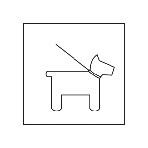 Icones BP Porta els animals domestics lligats 300x300 1