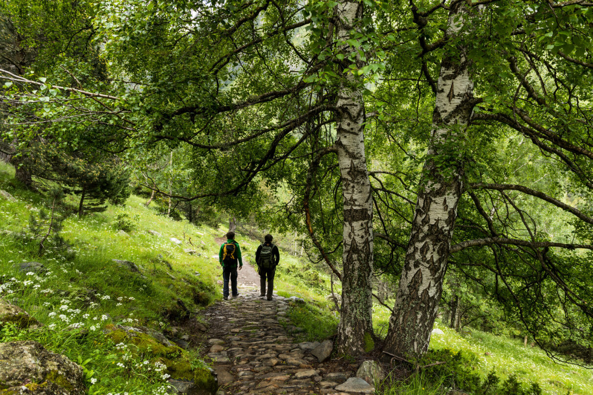 Senderistes caminant per un camí senyalitzat