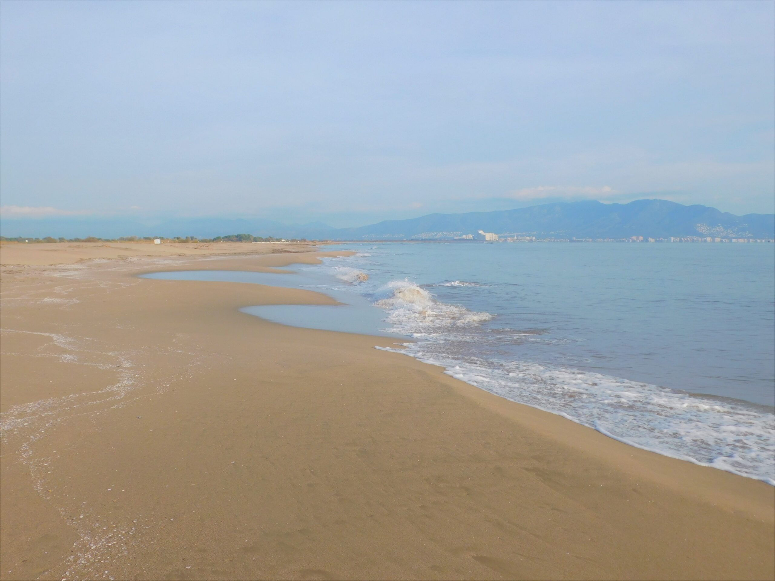Platja Cortal de la Vila Sant Pere Pescador PN Aiguamolls scaled