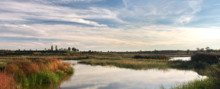 Torrent de la Cabana 1 1