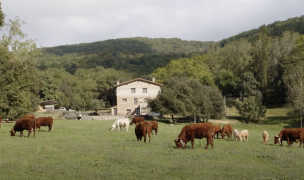 Agricultura i ramaderia 1