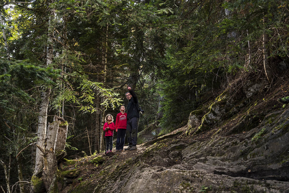 Un adult assenyala alguna cosa a dos infants en un bosc madur del Parc Natural de l'Alt Pirineu.