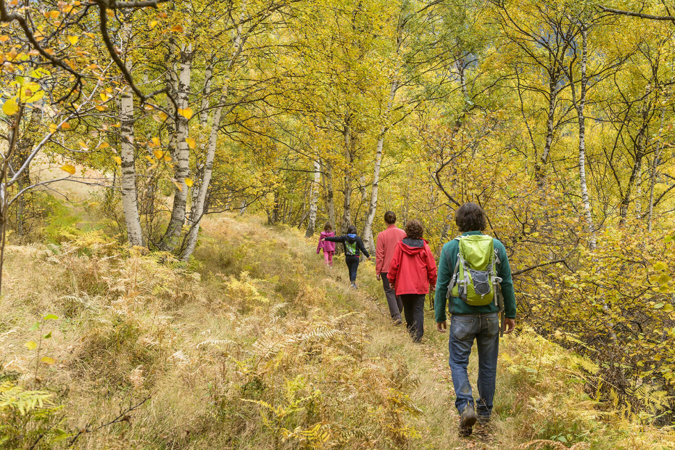 Excursionistes en un bosc de l'Alt Pirineu a la tardor