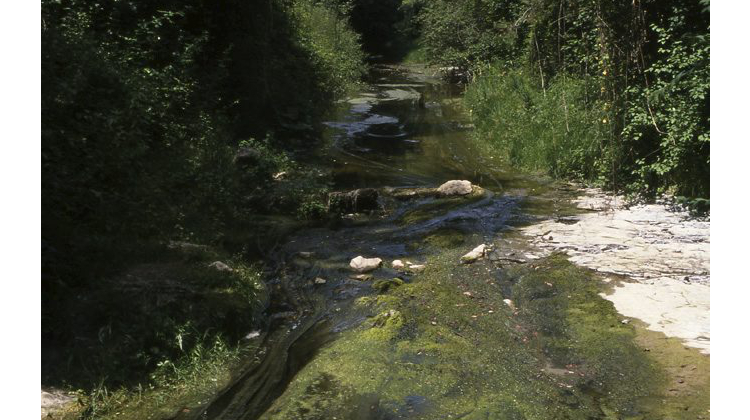 riera de sorreigs